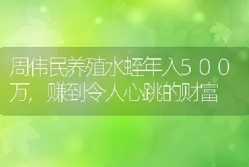 周伟民养殖水蛭年入500万,赚到令人心跳的财富