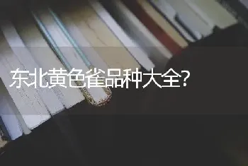 东北黄色雀品种大全？