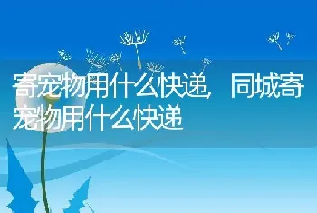 寄宠物用什么快递，同城寄宠物用什么快递