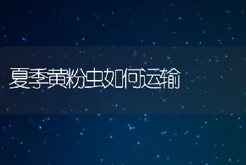 防治长毛兔拔毛综合症