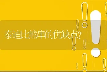 泰迪比熊串的优缺点？