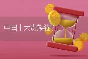 买史宾格公的好母的好～有啥区别～价格～能力！求解答～说明白点！谢谢？