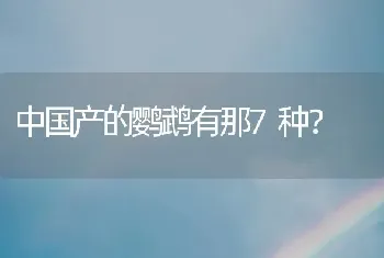 中国产的鹦鹉有那7种？