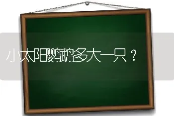 小太阳鹦鹉多大一只？