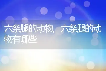 老打喷嚏怎么回事，早上老打喷嚏怎么回事