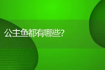 公主鱼都有哪些？