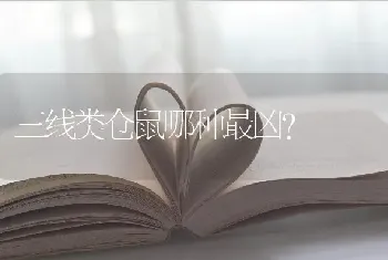 三线类仓鼠哪种最凶？