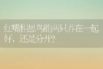 红嘴相思鸟能两只养在一起好,还是分开？