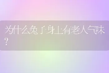 为什么兔子身上有老人气味？