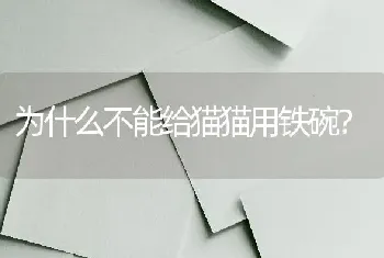 为什么不能给猫猫用铁碗？