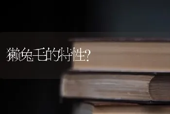 獭兔毛的特性？