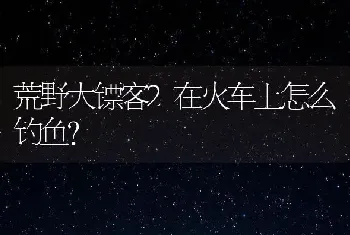 荒野大镖客2在火车上怎么钓鱼？