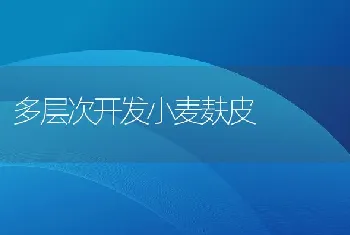 家兔人工授精实用技术