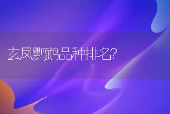 貂的寓意是什么？