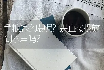 龟粮怎么喂呢？是直接投放到水里吗？