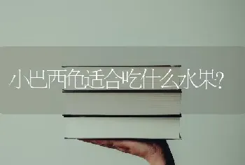 小巴西龟适合吃什么水果？