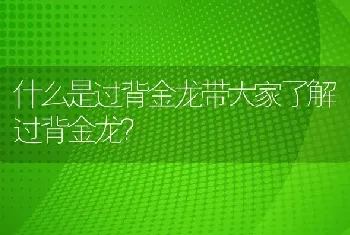 什么是过背金龙带大家了解过背金龙？