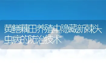 黄鳝藕田养殖中隐藏新棘头虫病的防治技术