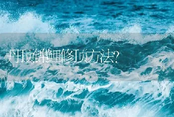 丹顶锦鲤修顶方法？