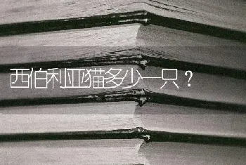 西伯利亚猫多少一只？