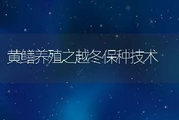 黄鳝养殖之越冬保种技术