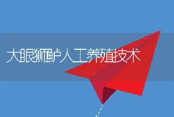 春季观赏鱼养殖管理技术要点