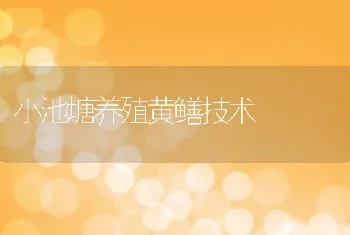 小池塘养殖黄鳝技术