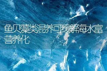 鱼贝藻类混养可缓解海水富营养化