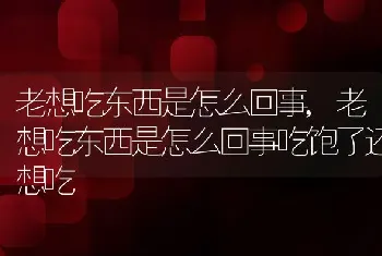 老想吃东西是怎么回事，老想吃东西是怎么回事吃饱了还想吃