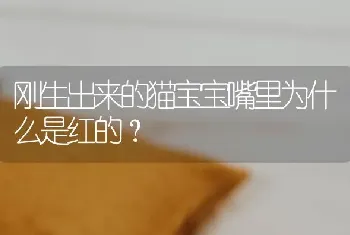 刚生出来的猫宝宝嘴里为什么是红的？