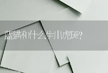 蓝猫和什么生出虎斑？