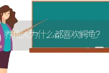 法国斗牛犬一天吃什么？