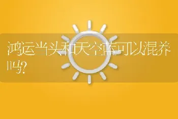 鸿运当头和天空蓝可以混养吗？