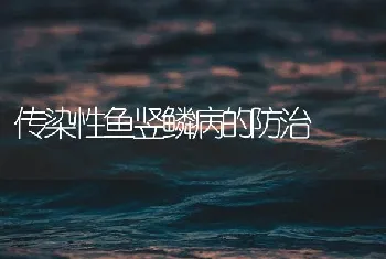 传染性鱼竖鳞病的防治