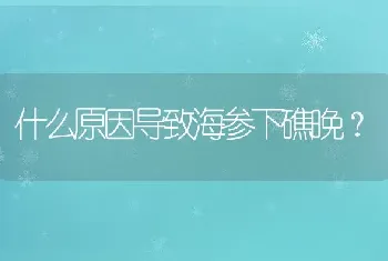 什么原因导致海参下礁晚？