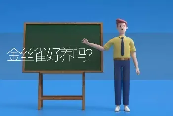 金丝雀好养吗？