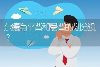 东德有平背和弓背的划分没？