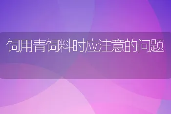 饲用青饲料时应注意的问题