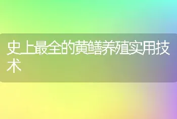 史上最全的黄鳝养殖实用技术