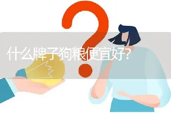 什么牌子狗粮便宜好？