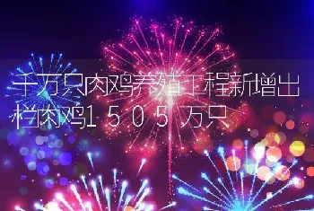 千万只肉鸡养殖工程新增出栏肉鸡1505万只