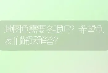 地图龟需要冬眠吗？希望龟友们踊跃解答？