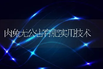 肉兔无公害育肥实用技术