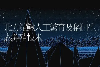 北方泥鳅人工繁育及稻田生态养殖技术