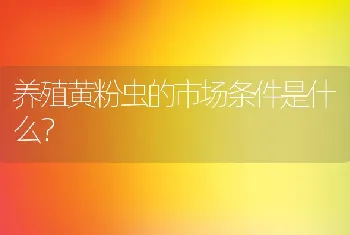 养殖黄粉虫的市场条件是什么？