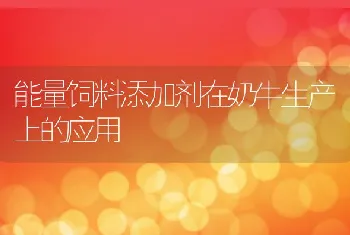 能量饲料添加剂在奶牛生产上的应用