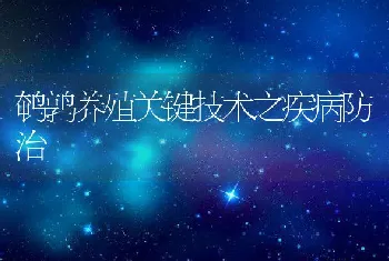 鹌鹑养殖关键技术之疾病防治