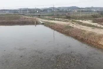 池塘养殖泥鳅需要什么样的水质？水质出现老化该如何解决？