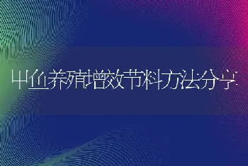 甲鱼养殖增效节料方法分享