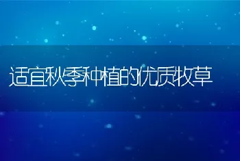 新法养殖泥鳅技术要领